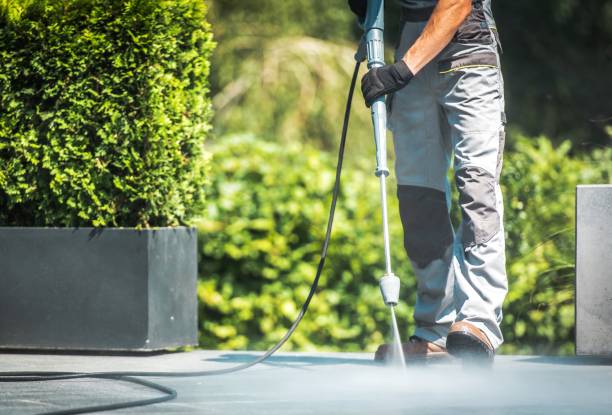 Best Rust Removal  in Griggsvle, IL