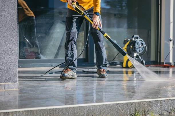 Best Animal Enclosure Cleaning  in Griggsvle, IL