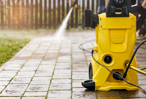 Best Roof Washing  in Griggsvle, IL